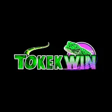 TOKEKWIN - Aplikasi Utility Serbaguna untuk Kebutuhan Anda